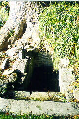 St. Feichin's Well