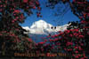 dhaulagiri2