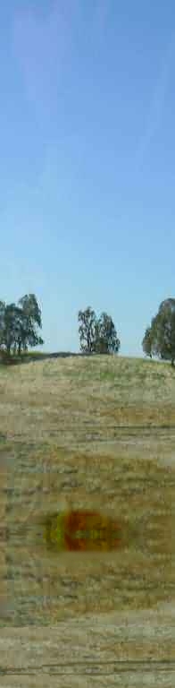 Sierra Nevada Mountains in Spring