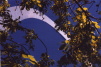 Arch through leaves