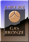 GA's Bronze Award