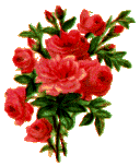 roses.gif (8029 bytes)