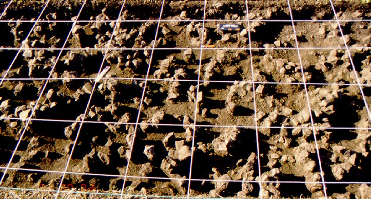 Detalle de excavación en Yacaré-Cururú (Artigas)