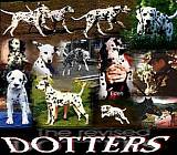 A to Z Dalmatian Resources (DOTTERS)