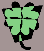 4 leaf shamrock