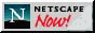 Netscape Now