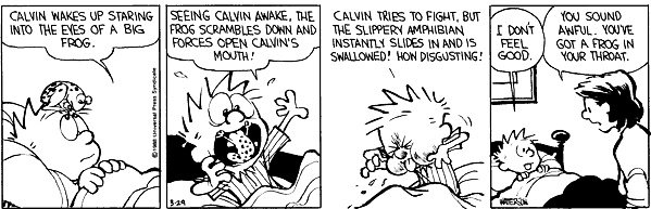 Calvin and Hobbes