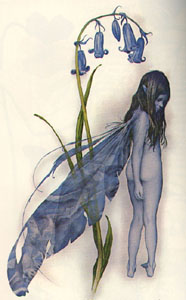 Brian Froud's Blue Faery