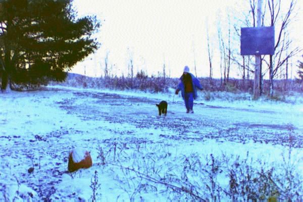 01.jpg -- walking in the snow