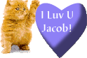 This is for you, Jacob!