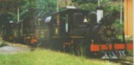 Locomotiva nr. 22