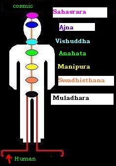 The Chakras