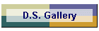 D.S. Gallery