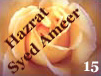 Hazrat Syed Ameer