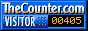 The Counter