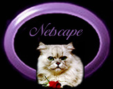 Netscape