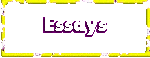 Essays