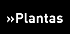 Plantas