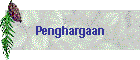 Penghargaan