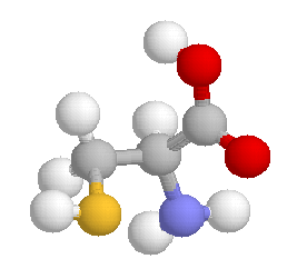 Model of amino acid cysteine