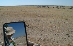 Doreen in rear view mirror, enjoying all the animals at one of Etosha's many waterholes.   CLICK HERE TO SEE THE LARGER VERSION OF THIS PHOTO