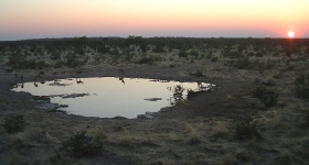 Sunset at Moringa Waterhole - Halali Camp, Etosha NP.    CLICK HERE TO SEE THE LARGER VERSION OF THIS PHOTO