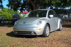 My New Beetle!