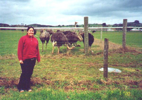 Karen at the Ostrich farm