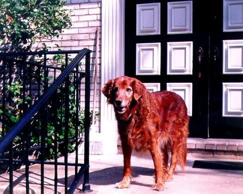 Harriet in April, 1994