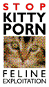 Stop Kitty Porn! CLICK ME!