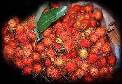 Rambutan - Cho^m Cho^m