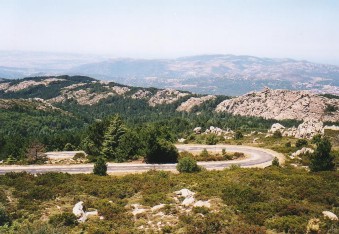 monte limbara