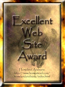 Excellent Web Site Award Gold