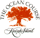 oceanlogo.gif (8817 bytes)