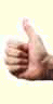 thumb.gif (2530 bytes)