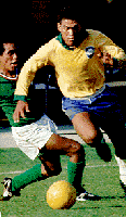 garrincha.gif (11666 bytes)