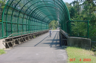 Bridge.JPG (52194 bytes)