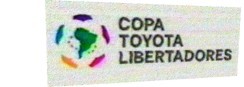 Copa Toyota Libertadores