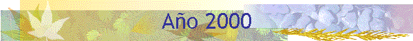 Ao 2000