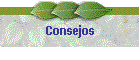 Consejos