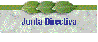 Junta Directiva