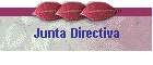 Junta Directiva