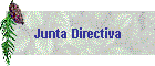 Junta Directiva