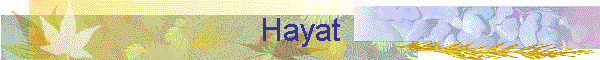 Hayat