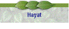 Hayat