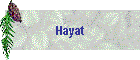 Hayat