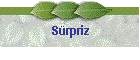 Srpriz