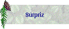 Srpriz