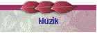 Mzik