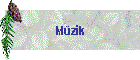 Mzik